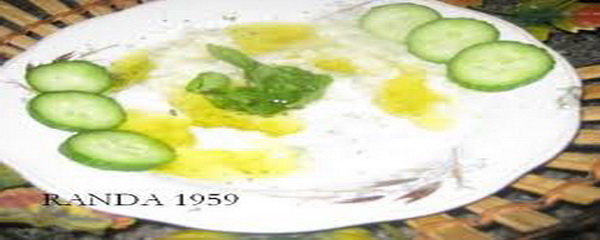 من المطبخ المصري سلطة اللبن (الزبادي) بالخضار (الوصفة لاربعة اشخاص )