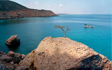 250 سائح يزورون سقطرى خلال أكتوبر الماضي