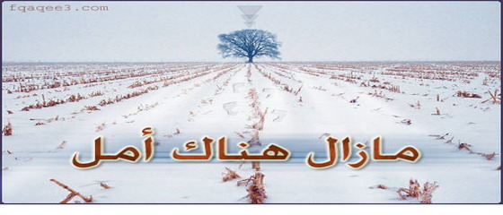 ابحث عن وجودي