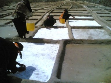 حقق نجاحات كبيرة في حضرموت.. الحكومة توافق على اتفاقية منحة التمويل الخاصة بمشروع الأشغال كثيف العمالة