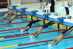 بدء بطولة الفقيد عادل الاعسم لمنتخبات المحافظات  للسباحة 