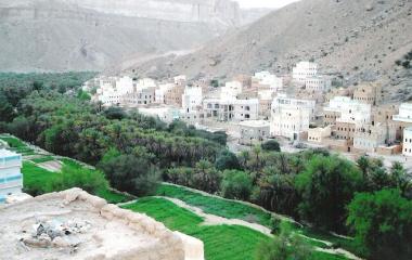 استفاد من القافلة الطبية 650 حالة بوادي عمد 