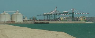 تصدير 370 طنا من الأسماك والمواد الغذائية عبر ميناء عدن