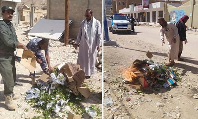 بتعاون المواطنين وبحضور السلطة المحلية .. أمن تريم تصادر كمية من القات الداخل للمديرية وتقوم بإتلافه
