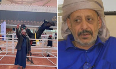 الشيخ حسن الجابري يهني الشيخ سالمين بن سعيد بن يماني الجابري بتحقيق المركز الاول في مهرجان الملك عبدالعزيز للابل (فئة المحالبه )