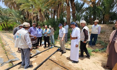 مدير عام شبام يلتقي وفد منظمة الفاو ويتفقدون سير العمل في مشروع تعزيز الصمود في قطاع الزراعة والري بمديرية شبام