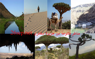 مسوحات أولية لـ81 موقعا أثريا بسقطرى