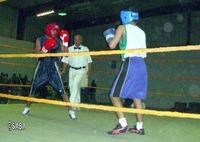 اليوم ختام بطولة الشباب للملاكمة بذمار
