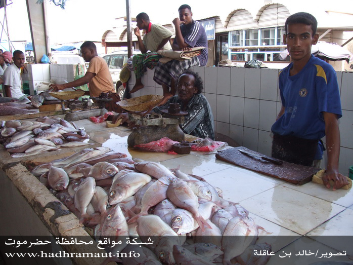 اواع من السمك