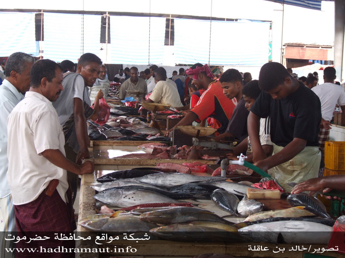 اواع من السمك