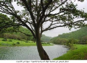 فريق بحث لتوثيق اللغة المهرية