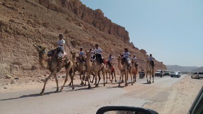  فعاليات مطلع المسيلة لهذا العام تخطف أنظار المهتمين والمتابعين بفعاليات نوعية هي سباق الهجن