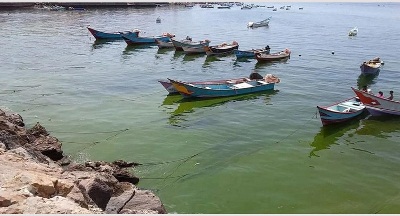 حقيقة وجود بقع في بعض سواحل مدينة المكلا وغيرها