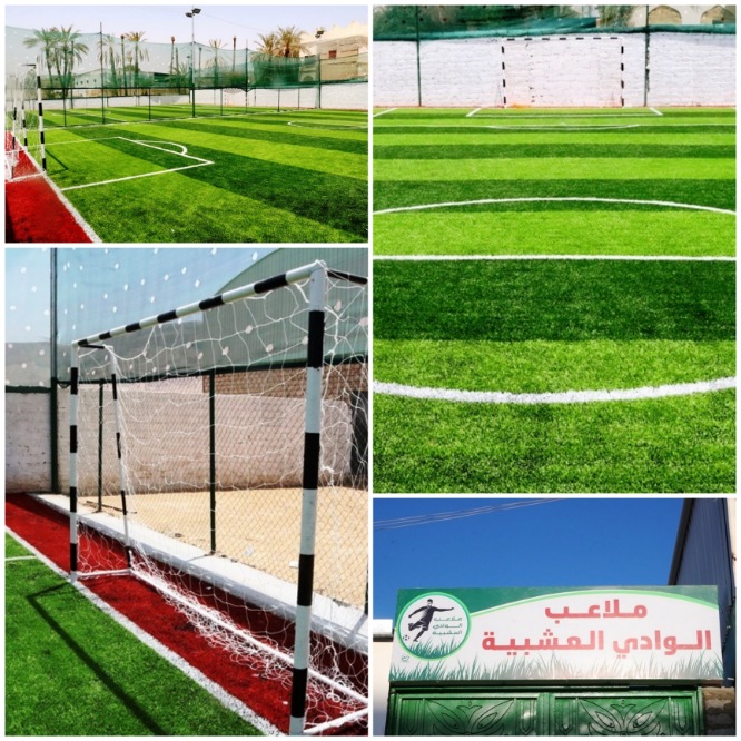 افتتاح ملاعب الوادي العشبية بسيئون
