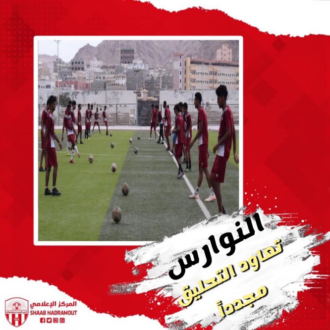غدا...النوارس تعاود التحليق مجددا