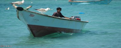 سقطرى تنفذ 13 مشروعاً تنموياً لتحسين البيئة السياحية