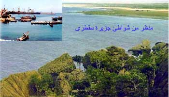 اليمن تحتج على فيلم أرض مجهولة صور سقطرى بأنها ارض ليس لها هوية