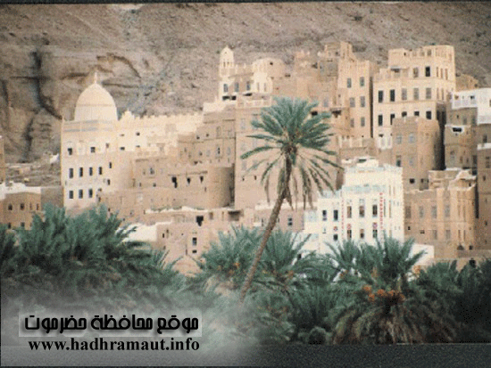 وادي دوعن حيث النخيل تعانق البيوت الطينية