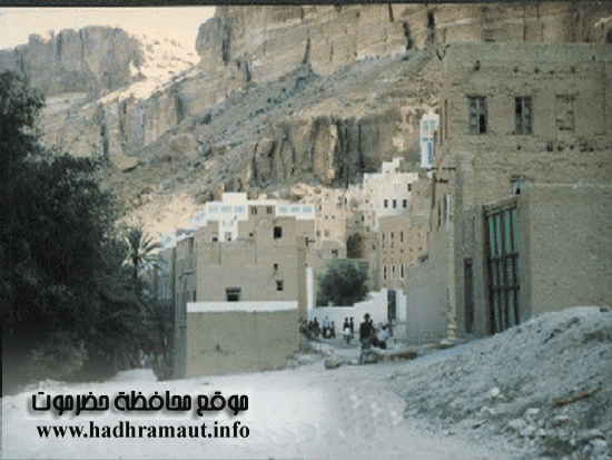 صورة لأحد الأحياء الداخلية بوادي دوعن