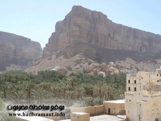 صورة من وادي دوعن تظهر فيه مجموعات النخيل