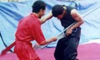 منتخب أمانة العاصمة بطلا لبطولة الجمهورية للكونغ فو