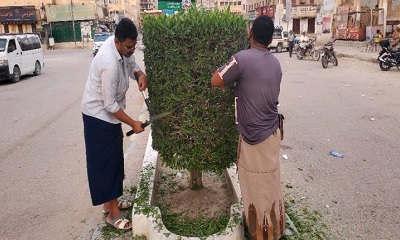 مكتب الصناعة والتجارة بمديرية القطن ينظم ورشة عمل حول الأداء المؤسسي وتحسين جودة الخدمات الحكومية
