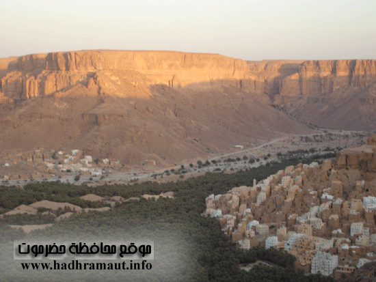 منظر علوي لمدينه دوعن 