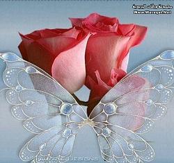 يا كامل الزين