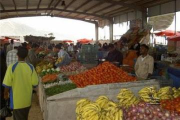 سوق سيئون للخضار والفواكه مجهز بكافة المرافق الفنية والضرورية لخدمة المزارع وبتكلفة إجمالية تبلغ (150) مليون