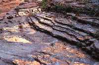 شركة إماراتية تبدأ تقييم الخام المستخرج من الذهب في محافظة حجة