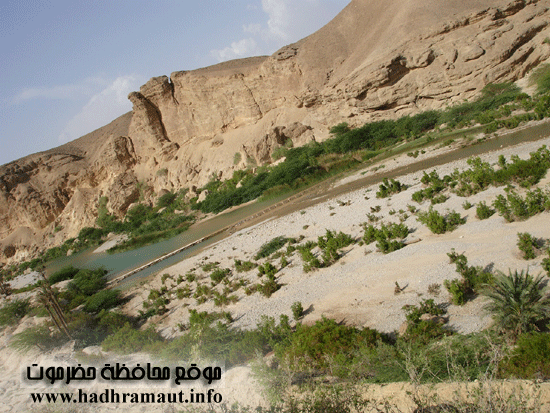 الطبيعة بوادي حجر 