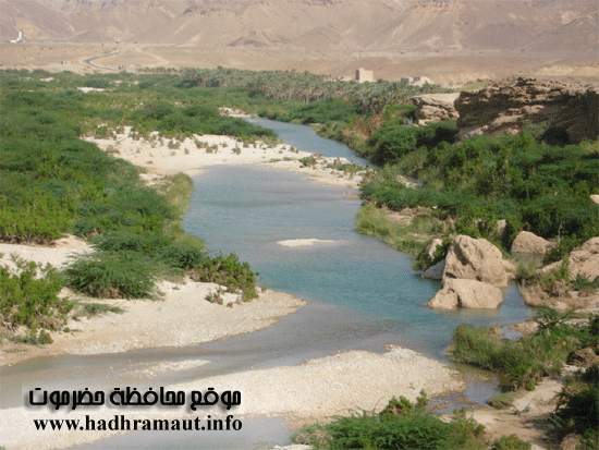 خضرة وادي حجر 