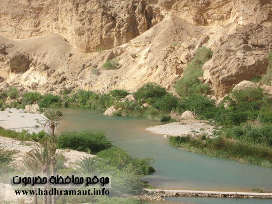 صفاء الطبيعة بوادي حجر 