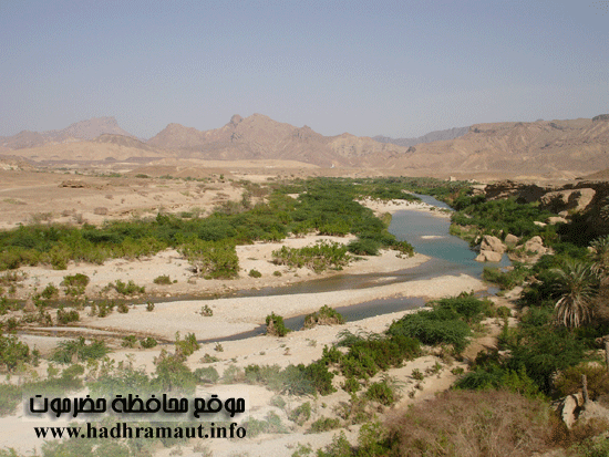 طبيعة خلابة بوادي حجر 