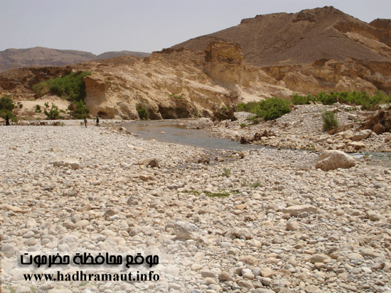 جمال الطبيعة بوادي حجر 