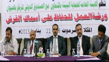المكلا تحتضن ورشة علمية وطنية حول المحافظة على اسماك القرش