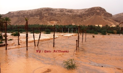 مياه السيول الغزيرة تجرف مساحات زراعية بمديرية ساه وشبكات مياه الشرب بوادي عدم