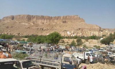 سوق الأربعاء بدوعن: ازدحام لشراء الأضاحي وتعطل الحركة في ظل غياب شرطة السير