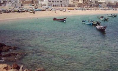 أمن الريدة وقصيعر يتمكن من القبض على المتهم في، قضية اغتصاب الأطفال بعد عملية تعقب ناجحة