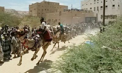 وسط حضور جماهيري كبير منطقة قسم بمديرية تريم تتميز بسباق الهجن التراثي السنوي