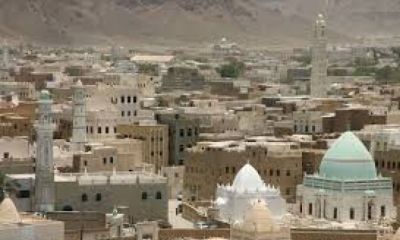 نيابة تريم تأمر أمن تريم بالقاء القبض على كافه عناصر عصابة سرقه الأغنام والمزارع