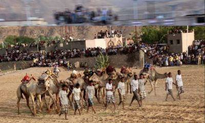 إقبال جماهيري استثنائي في إنطلاق سباق بن كردوس للهجن الثاني بتريم بحضرموت