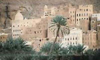 حملة لرفض قرار مدير كهرباء الوادي بقطع كهرباء دوعن الثانية فجرا