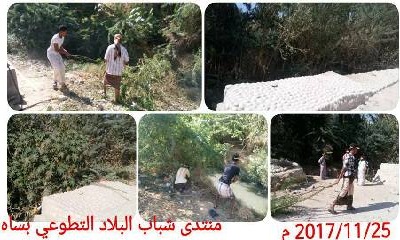 منتدى شباب البلاد التطوعي بساه يقيم المبادرة الثالثة في أسبوعها الثالث على التوالي في قطع أشجار السيسبان من مدخل البلاد