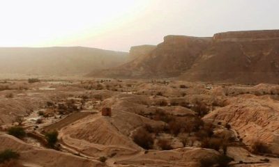 هيئة الآثار والمتاحف بحضرموت تعلن عن اكتشاف اثري مهم