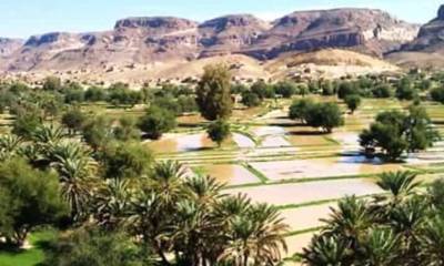 موجة غلا عارمة تجتاح اسواق يبعث والاهالي يعانون الفقر والجوع 