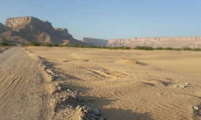 وكيل وزارة المغتربين يشيد بمبادرة مؤسسة "السعيد" بحضرموت
