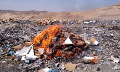 إتلاف كمية من الحبار غير صالحة للاستهلاك بميناء الشحر