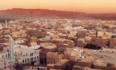 مركز سلمان ينفذ في مديرية تريم دورة تدريبية بشأن مكافحة الآفات الحشرية