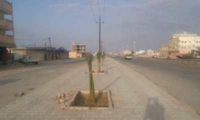 نائب مدير عام مديرية الشحر : سيتم في اقرب وقت تنفيذ حملة رش ضبابي